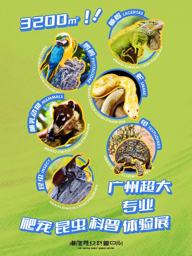 爬宠展·广州3200㎡超大专业爬宠昆虫科普体验馆