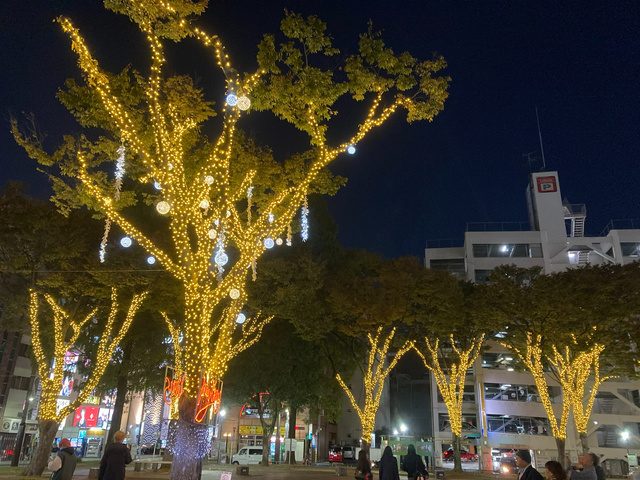第25回 池田公園イルミネーション