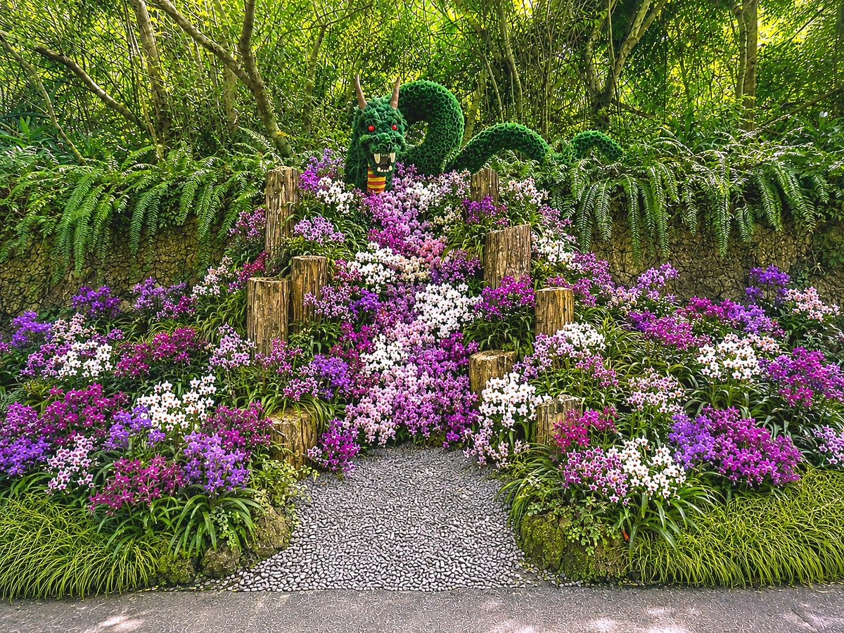 ビオスの丘「らんの花祭り 秋」