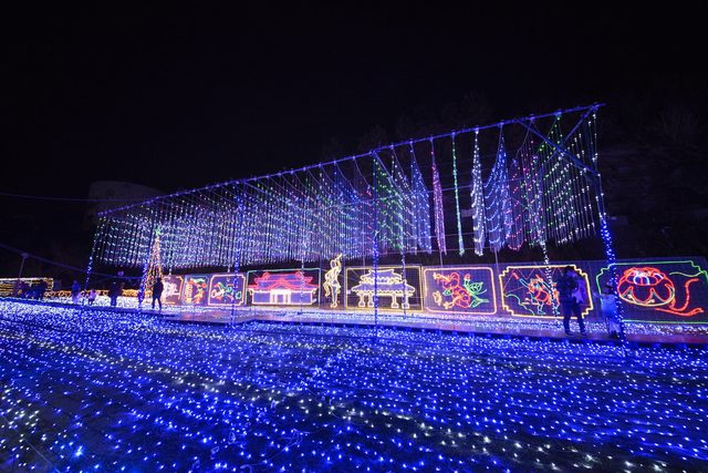 第30回 沖縄こどもの国 クリスマスファンタジー