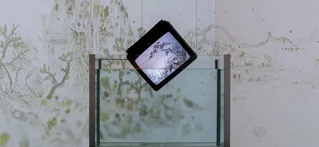 이이남 개인전 《시어무형 청어무성: 생명과 존재를 향한 회화적 사유》（학고재）